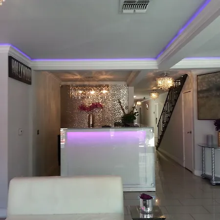 Hollywood Vip Hotel-2